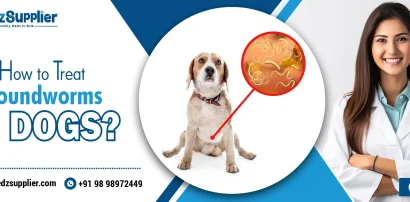 How to Treat Roundworms in Dogs?