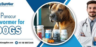 Panacur Dewormer for Dogs