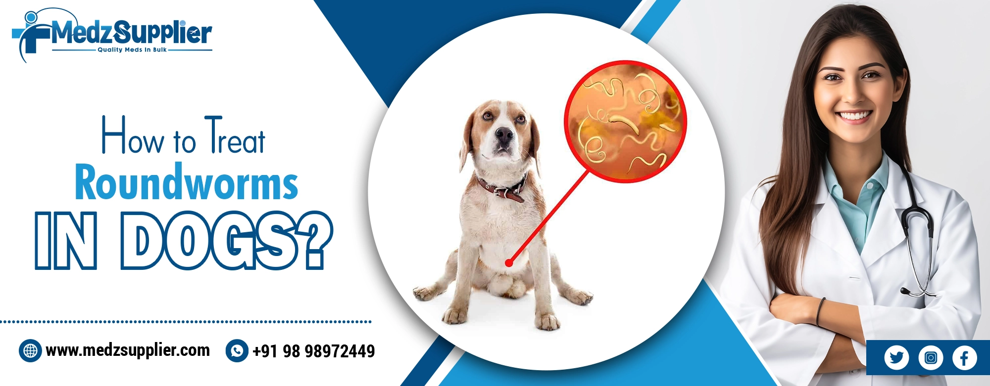 How to Treat Roundworms in Dogs?